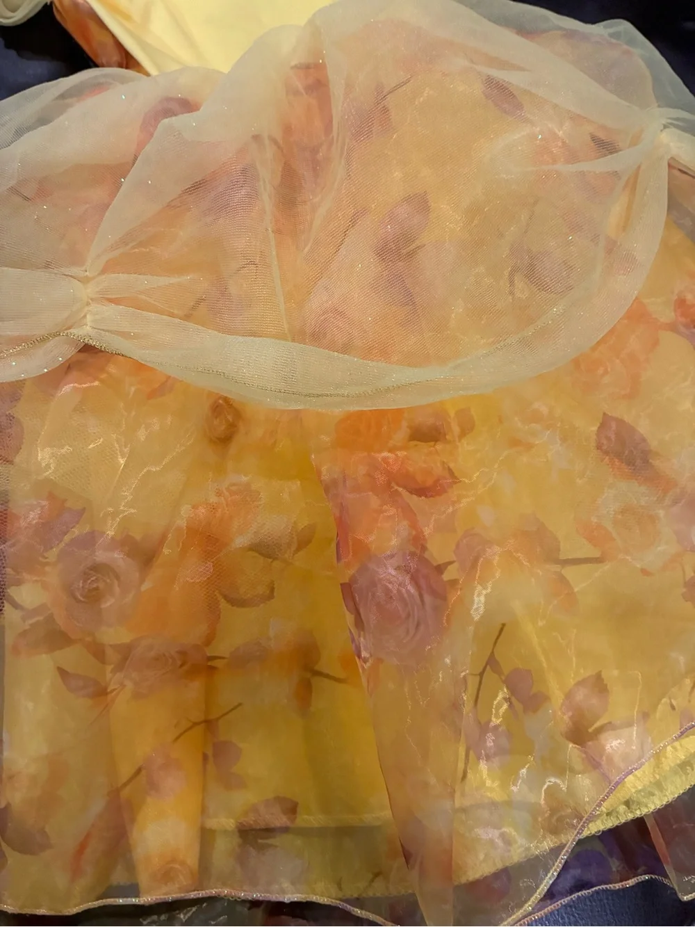Disney Belle Yellow Princess Tulle Dress with Pink Rose Accents